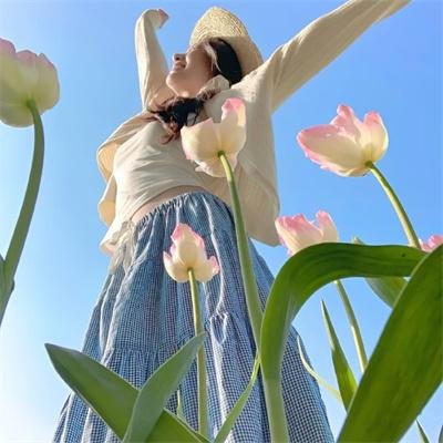 天不藏奸